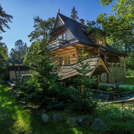 Dom Crocus Villa Zakopane Buitenkant foto