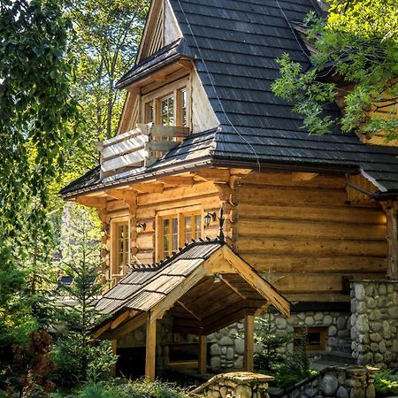 Dom Crocus Villa Zakopane Buitenkant foto